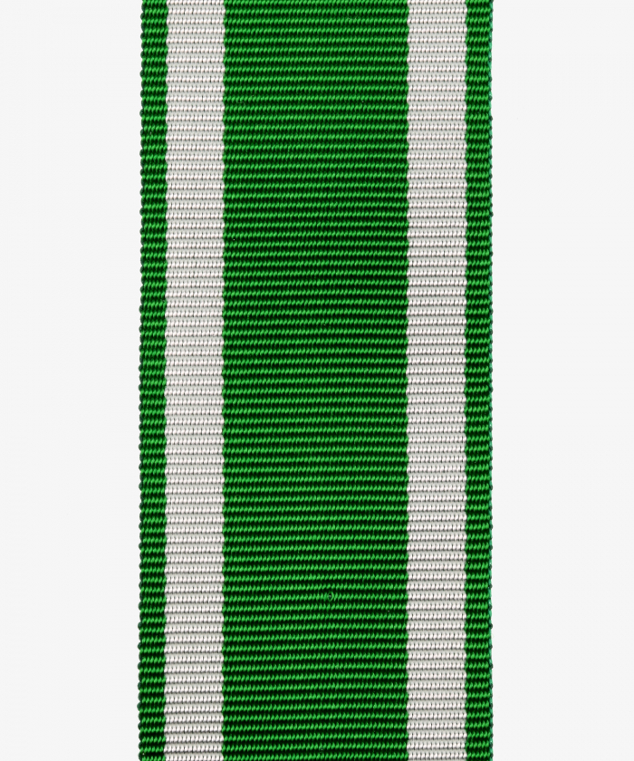 Sachsen-Altenburg, Medaille zum 50-jährigen Regierungs-jubiläum, Dienstauszeichnungen/DA (37)